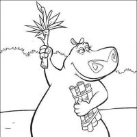 Desenhos para colorir Madagascar