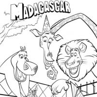 Desenhos para colorir Madagascar