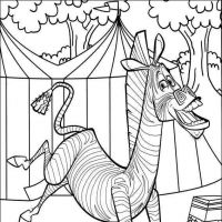 Desenhos para colorir Madagascar