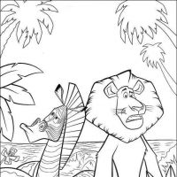 Desenhos para colorir Madagascar