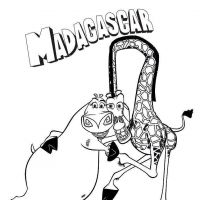 Desenhos para colorir Madagascar