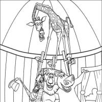 Desenhos para colorir Madagascar