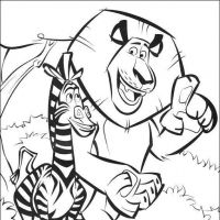 Desenhos para colorir Madagascar