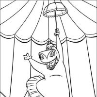 Desenhos para colorir Madagascar
