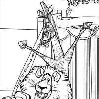 Desenhos para colorir Madagascar