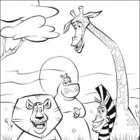 Desenhos para colorir Madagascar