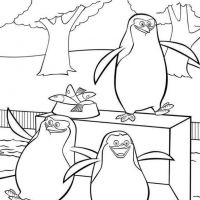 Desenhos para colorir Madagascar