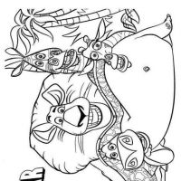 Desenhos para colorir Madagascar