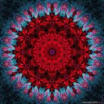 Mandalas