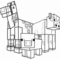 Desenhos para colorir Minecraft