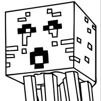 Desenhos para colorir Minecraft