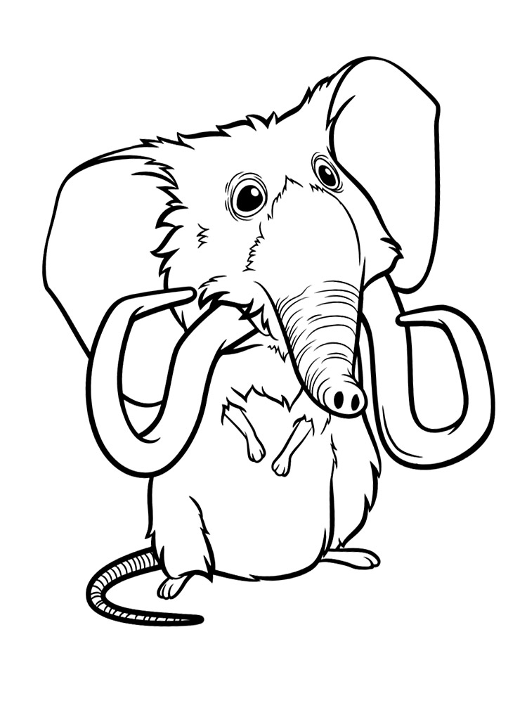 Desenho para colorir