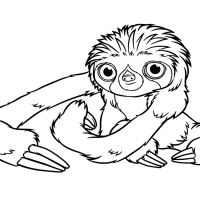 Desenhos para colorir Os Croods