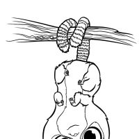 Desenhos para colorir Os Croods