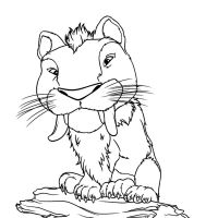 Desenhos para colorir Os Croods