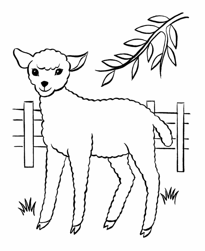 Desenho para colorir