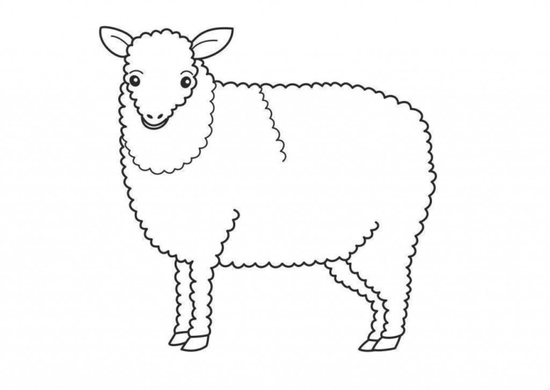 Desenho para colorir