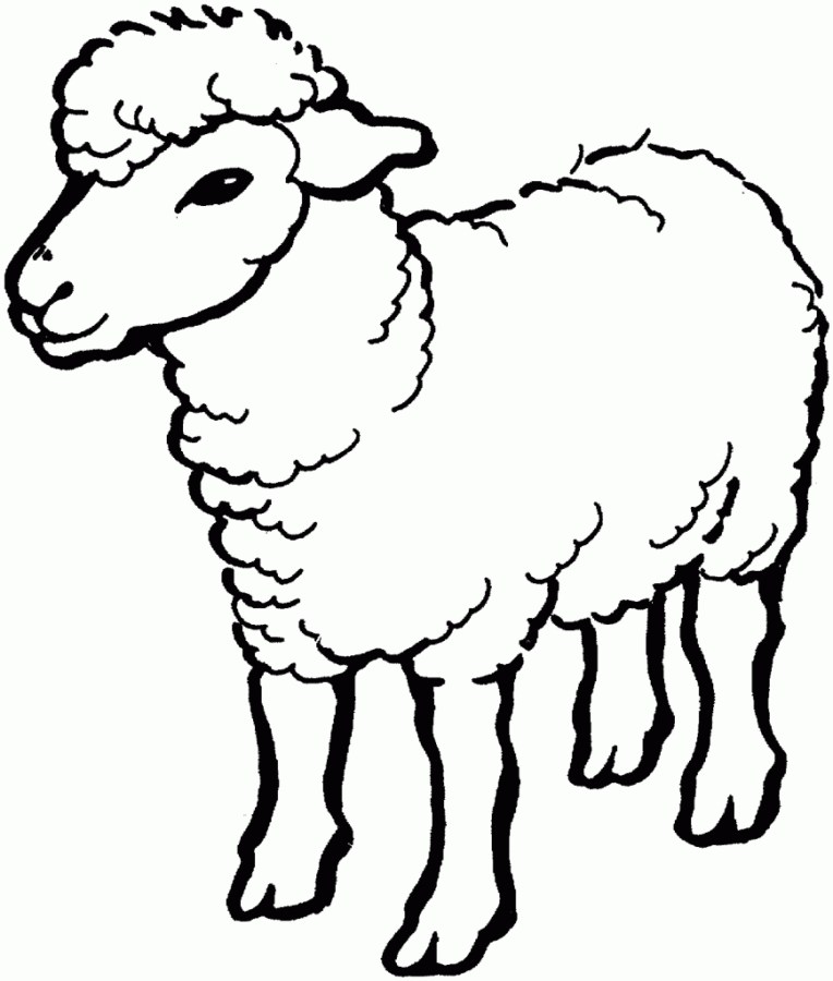 Desenho para colorir