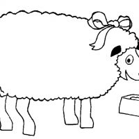 Desenhos para colorir Ovelha