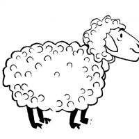 Desenhos para colorir Ovelha
