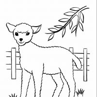 Desenhos para colorir Ovelha