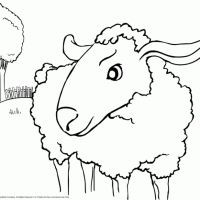 Desenhos para colorir Ovelha