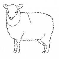 Desenhos para colorir Ovelha