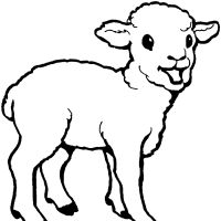 Desenhos para colorir Ovelha