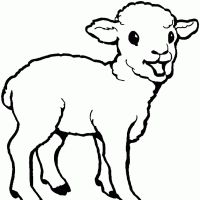 Desenhos para colorir Ovelha