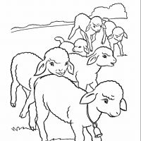 Desenhos para colorir Ovelha