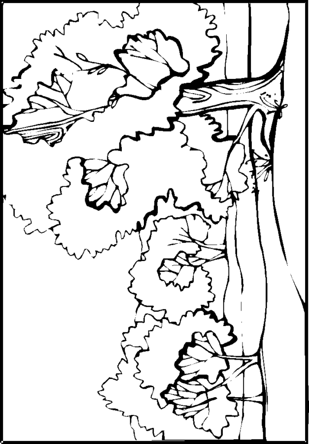 Desenho para imprimir