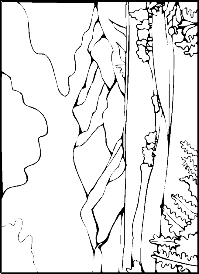 Desenho para imprimir