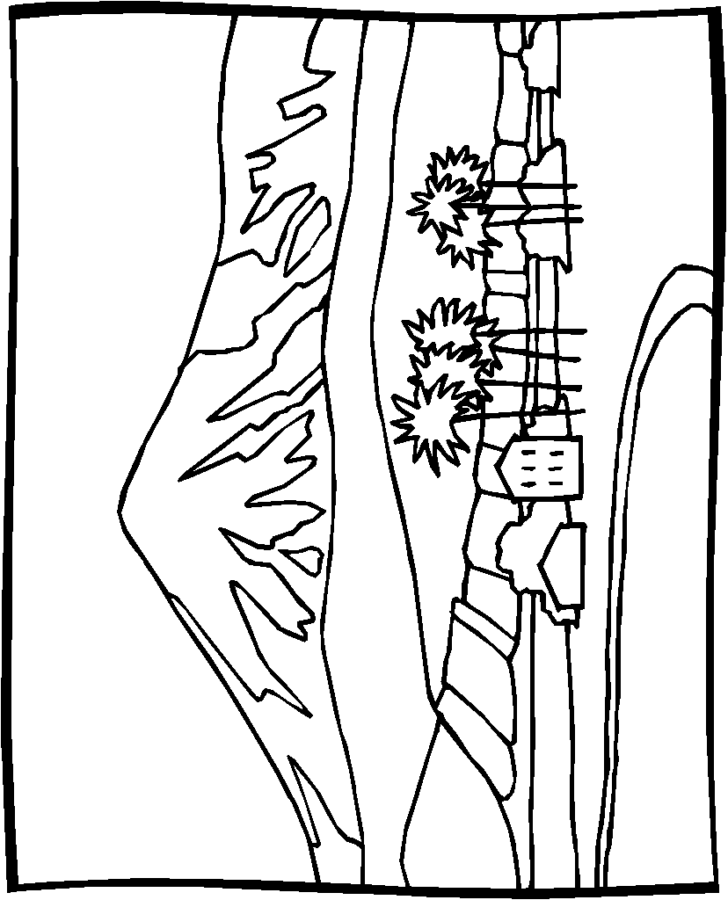 Desenho para colorir