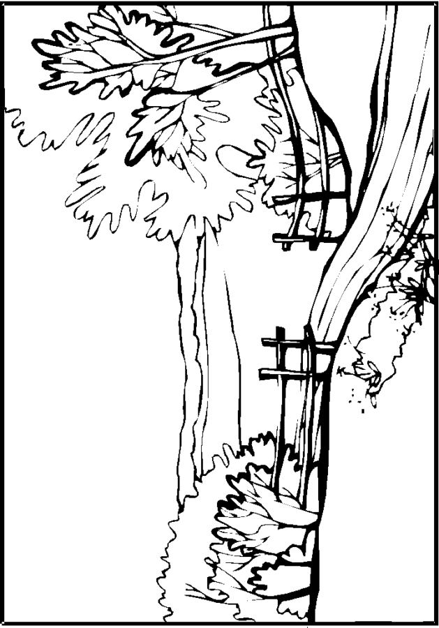 Desenho para colorir