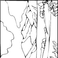 Desenhos para colorir Paisagens
