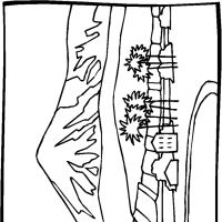 Desenhos para colorir Paisagens