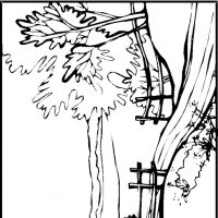 Desenhos para colorir Paisagens