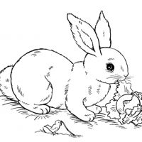 Desenhos para colorir Páscoa