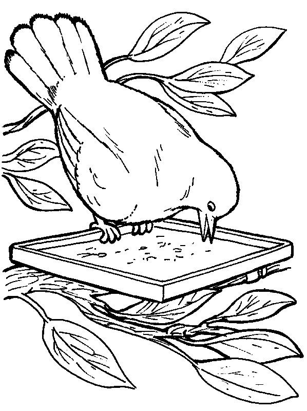 Desenho para colorir