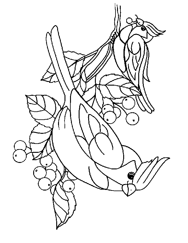 Desenho para colorir