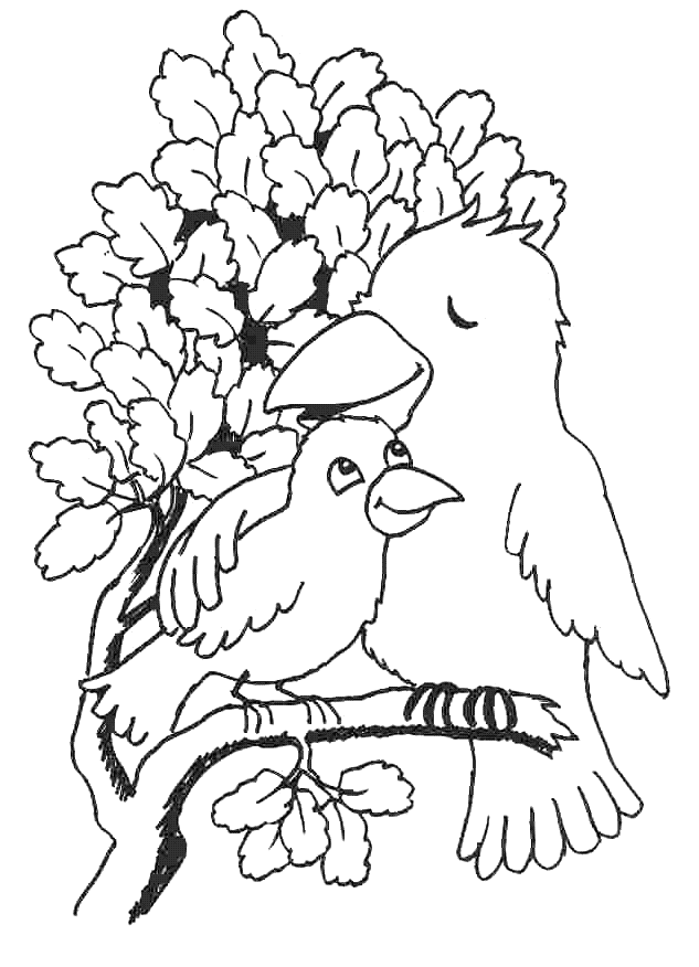 Desenho para colorir
