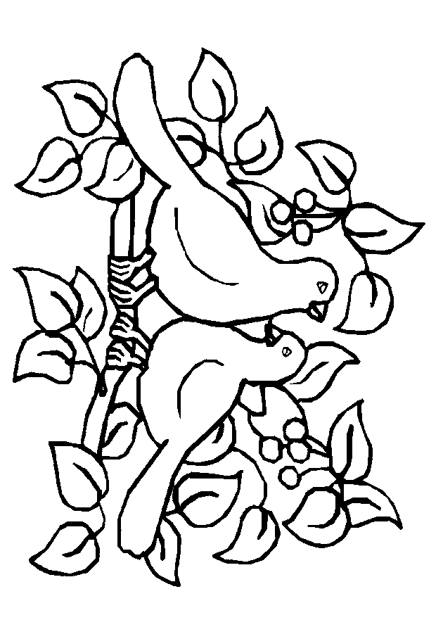 Desenho para imprimir
