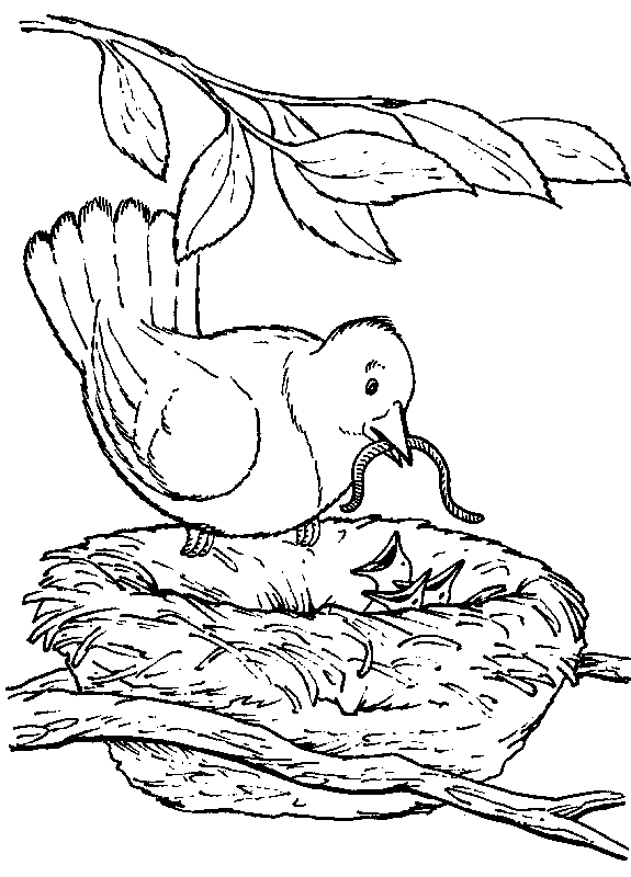 Desenho para colorir