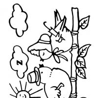 Desenhos para colorir Pássaros