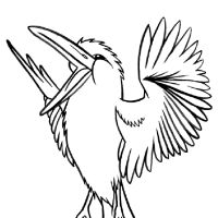 Desenhos para colorir Pássaros