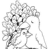 Desenhos para colorir Pássaros
