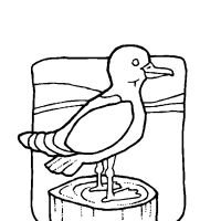 Desenhos para colorir Pássaros