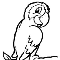 Desenhos para colorir Pássaros