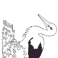 Desenhos para colorir Pássaros