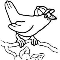 Desenhos para colorir Pássaros